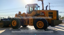 Payloader-976K-1049- (5)